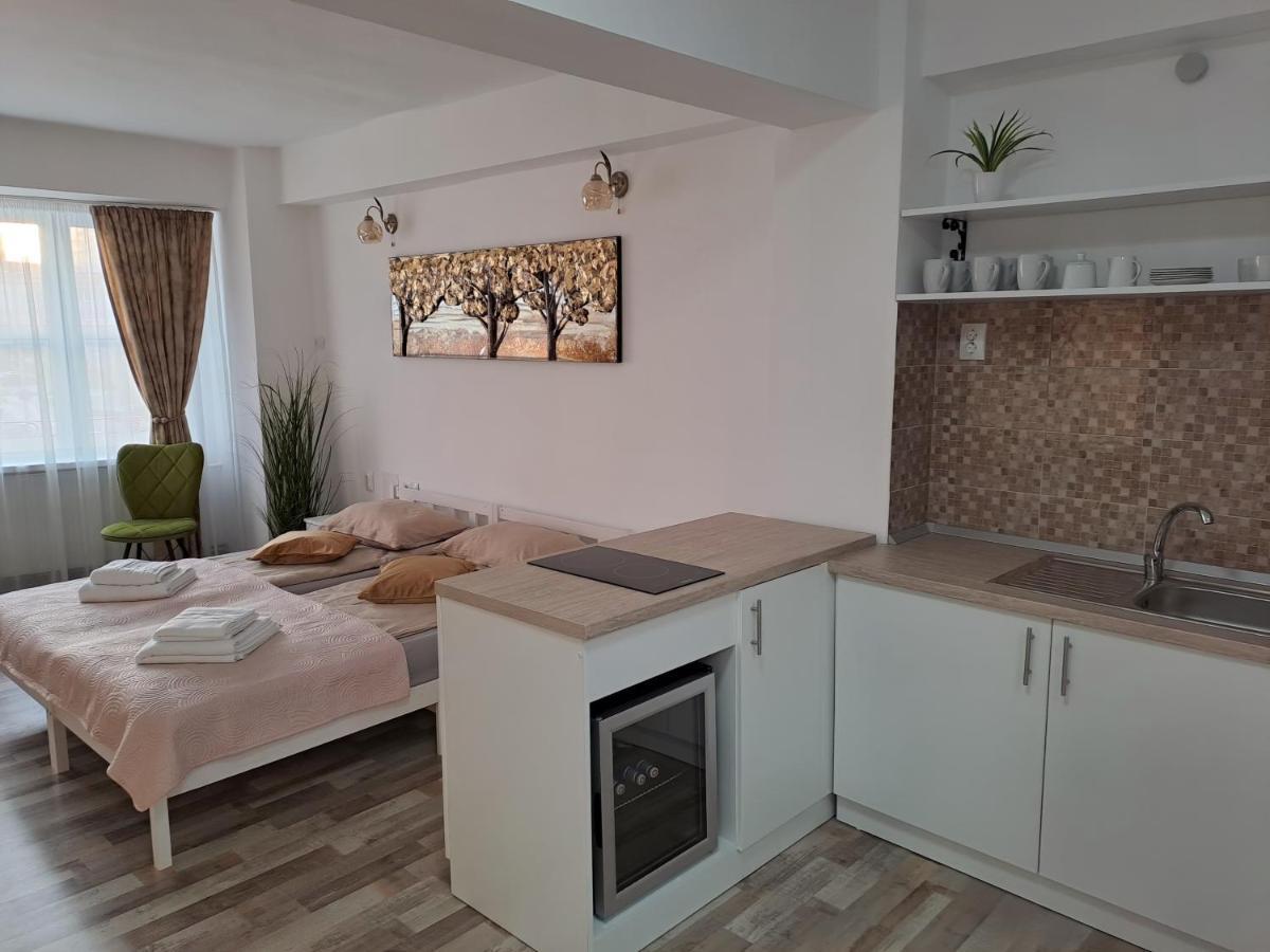 7 Level Central Apartments Miercurea Ciuc Esterno foto